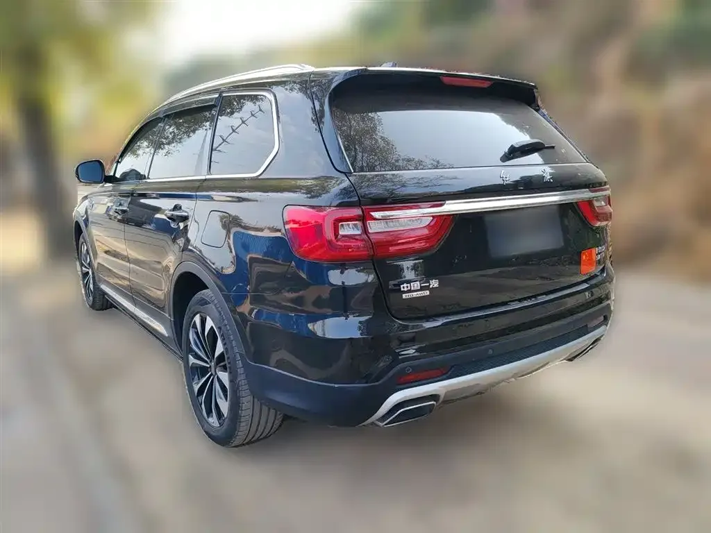 Hongqi HS7 2021 из CN, фото 8
