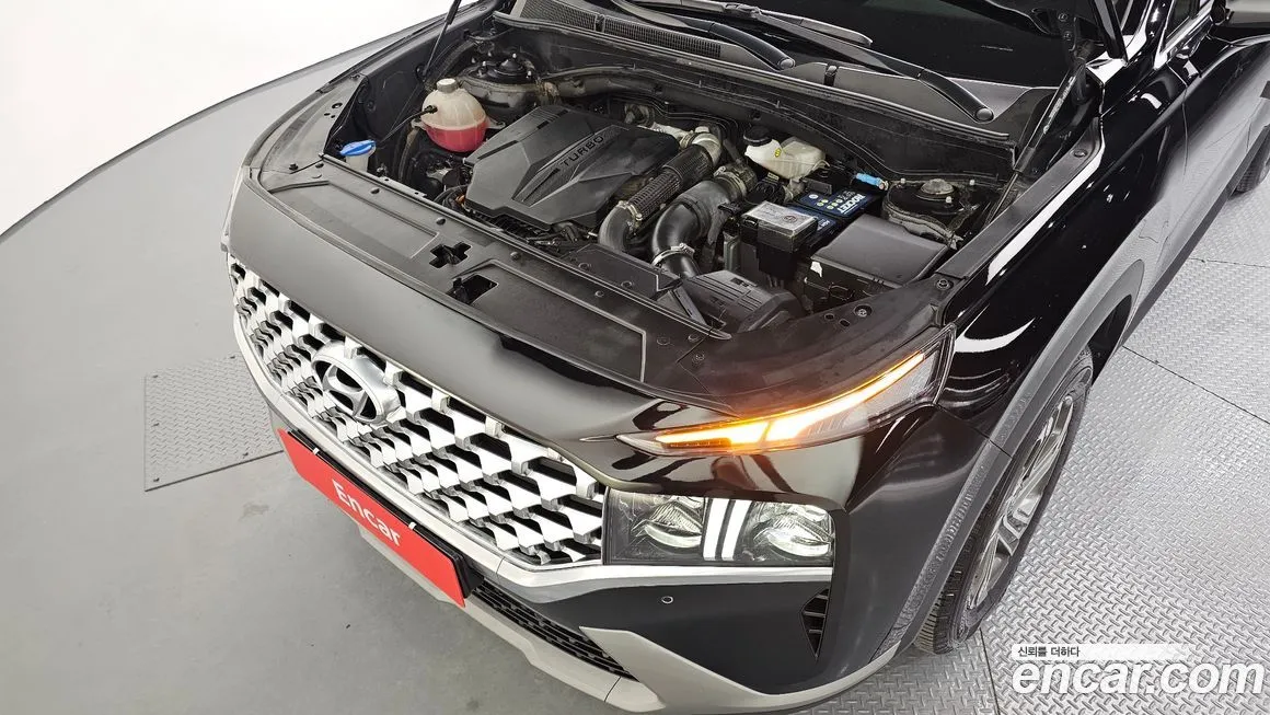 Hyundai Santafe 2021 из KR, фото 10