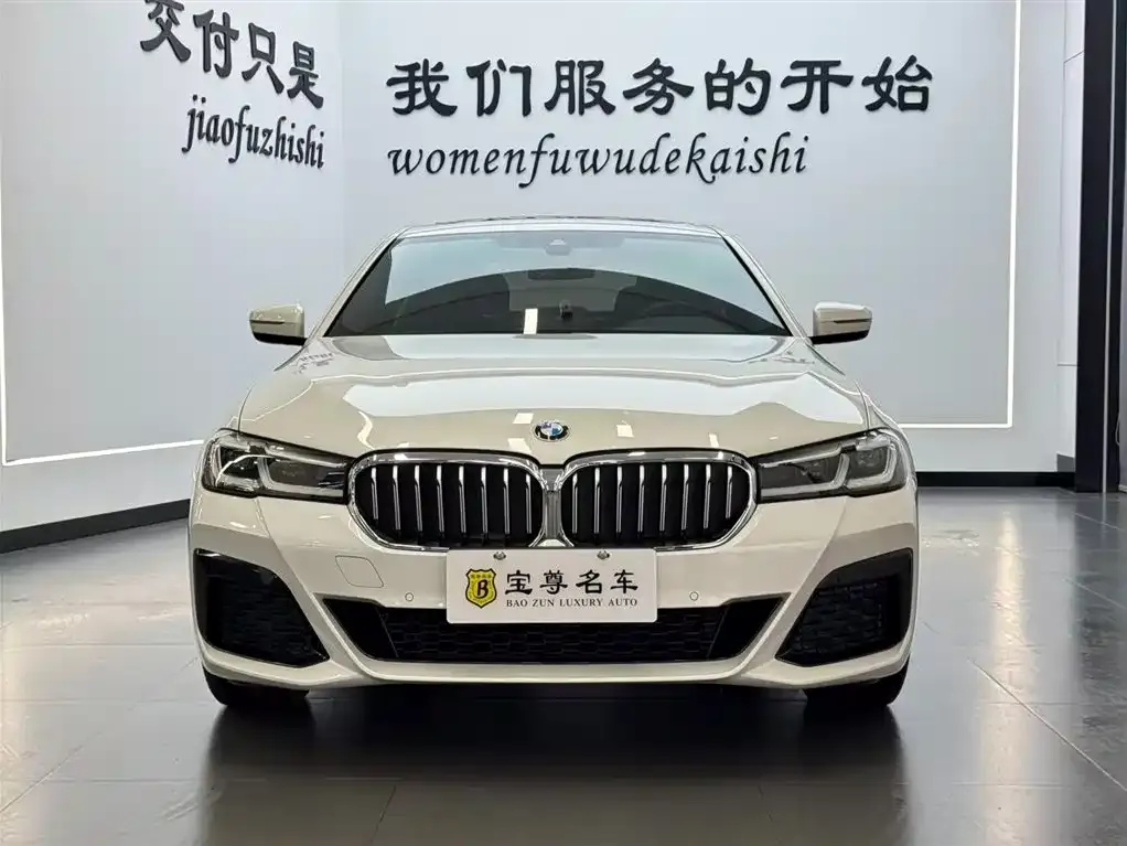 BMW 5 Series 2022 из CN, фото 1