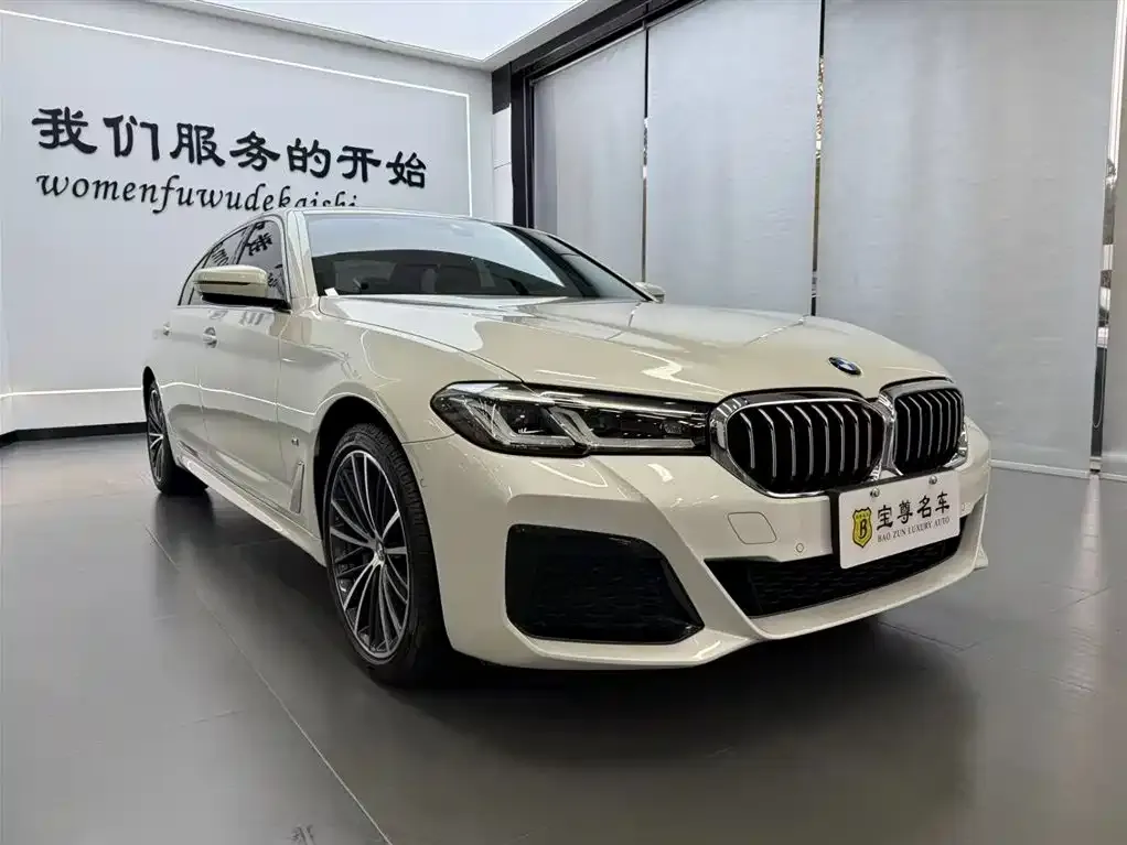 BMW 5 Series 2022 из CN, фото 8