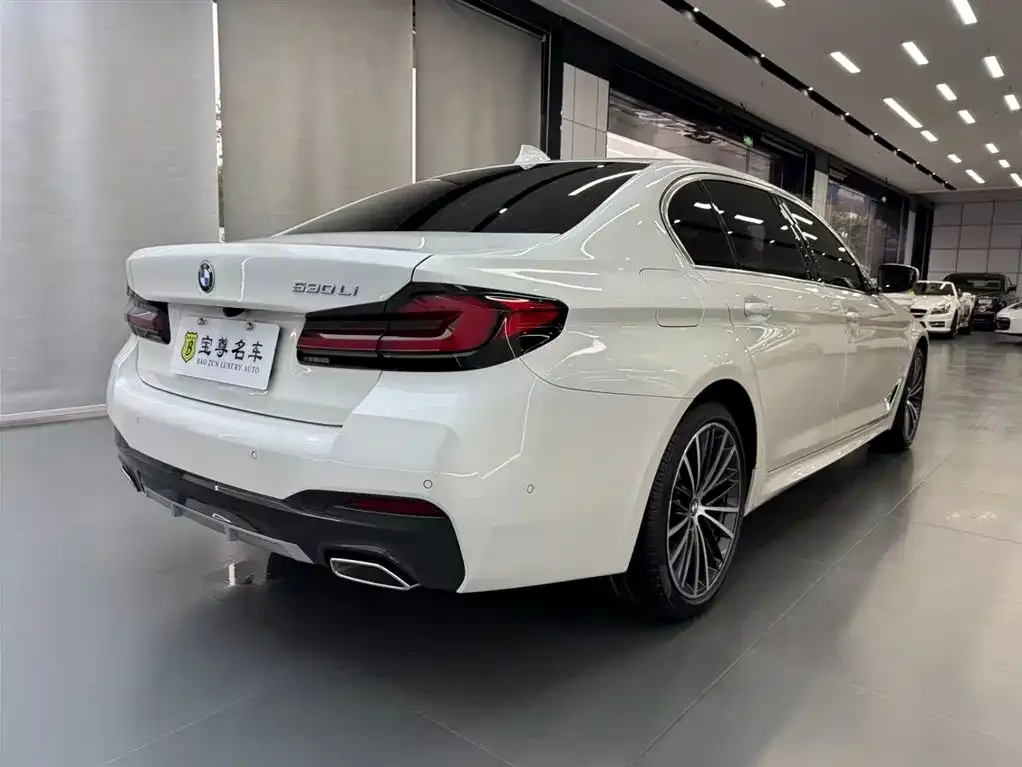BMW 5 Series 2022 из CN, фото 2