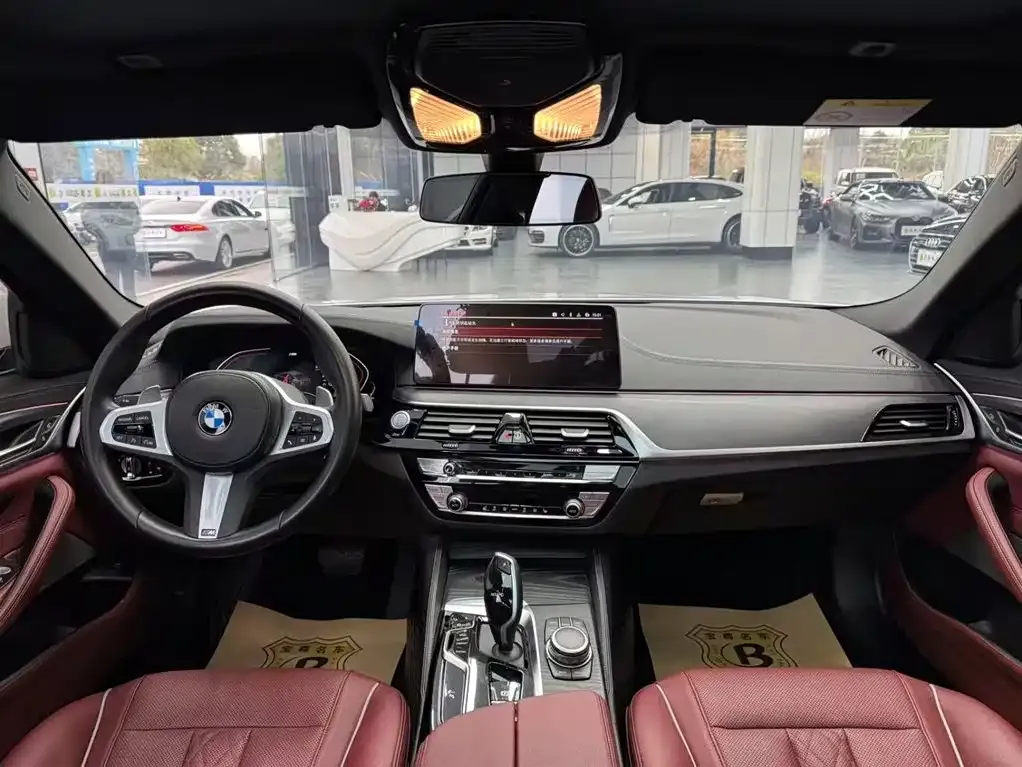 BMW 5 Series 2022 из CN, фото 9