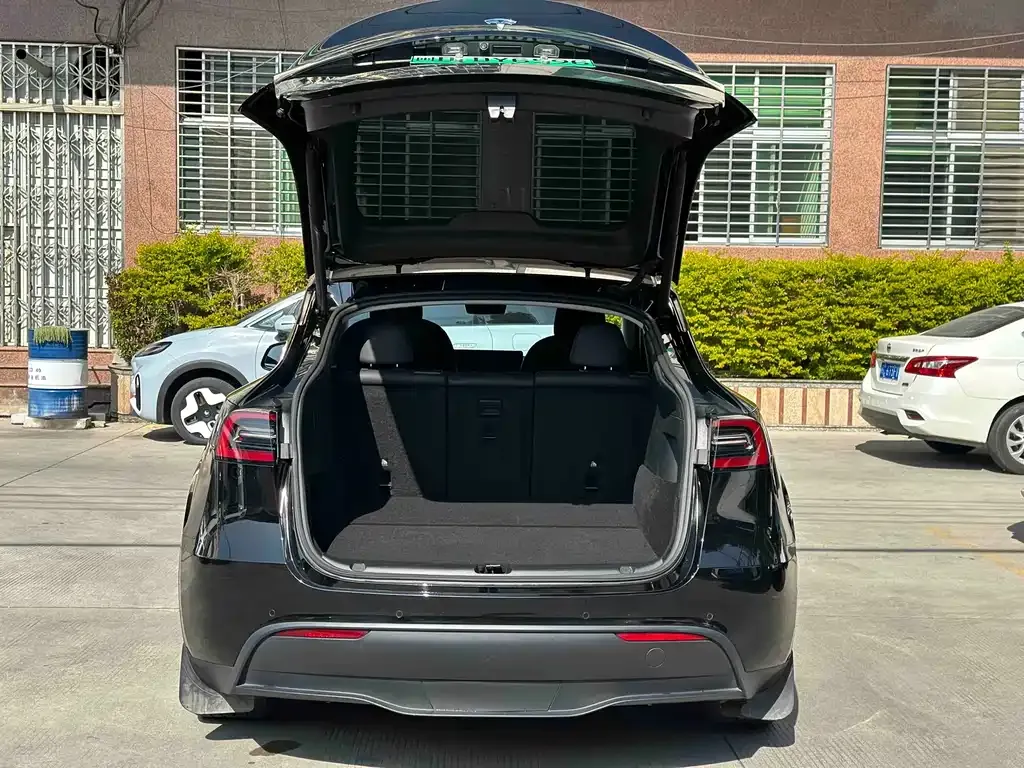 Tesla Model Y — фото 10