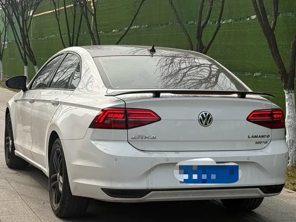 Volkswagen Lamando 2021 из CN, фото 6