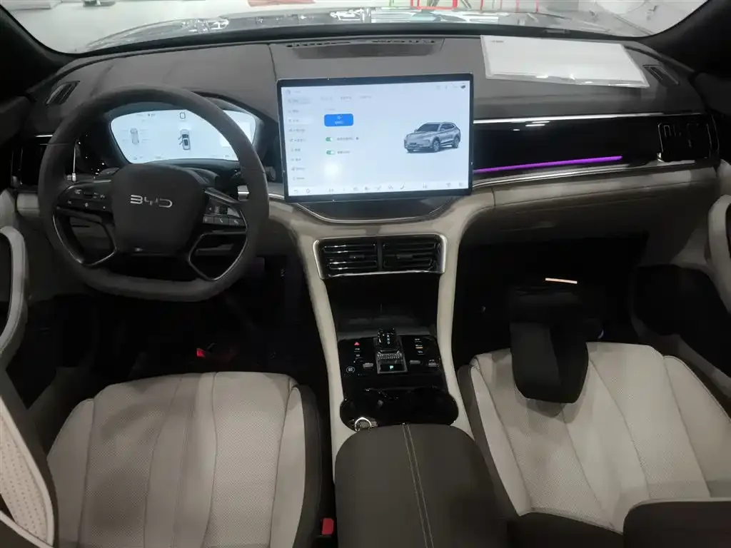 BYD PLUS New Energy 2025 из CN, фото 8