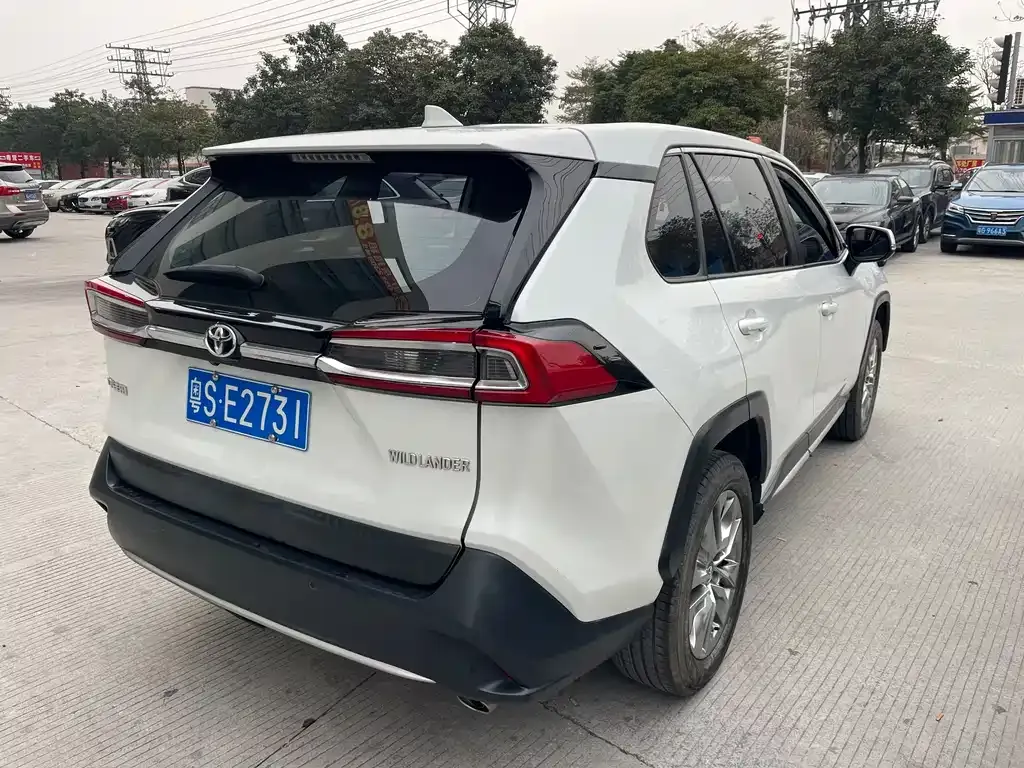 Toyota Wildlander 2023 из CN, фото 9