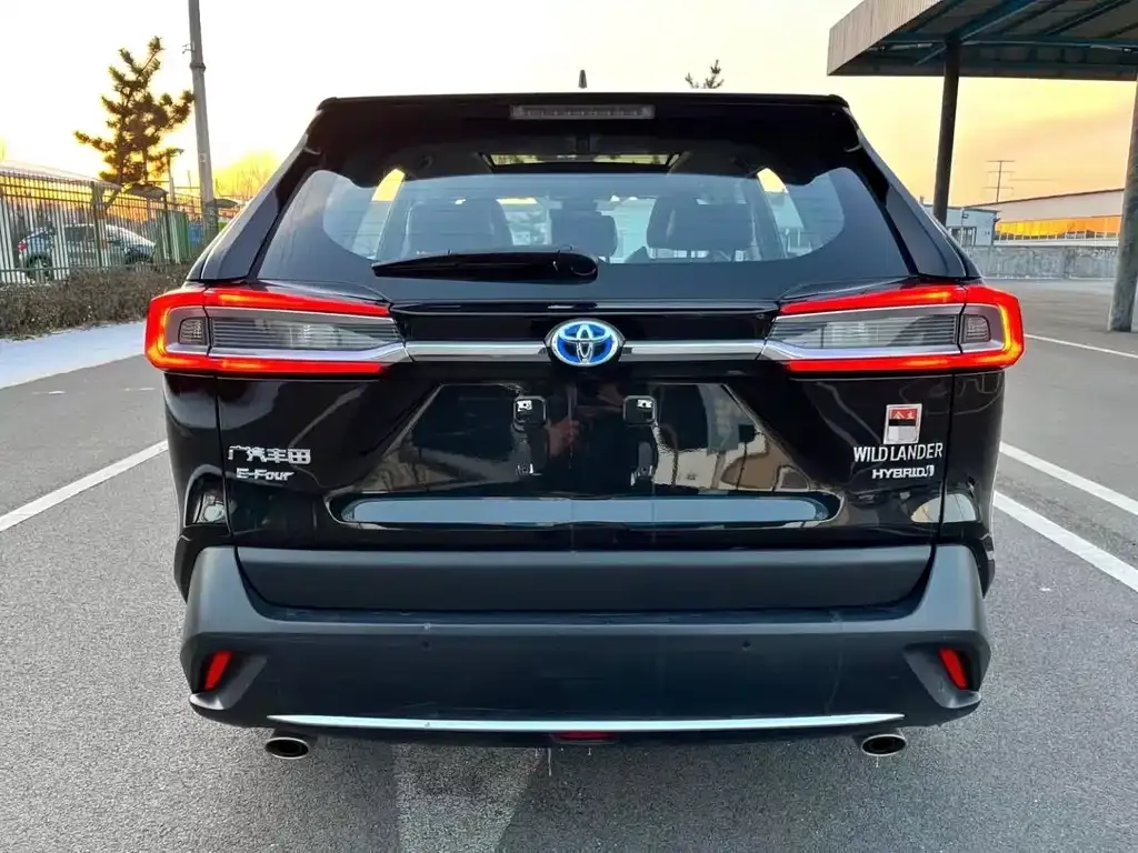Toyota Wildlander 2023 из CN, фото 9