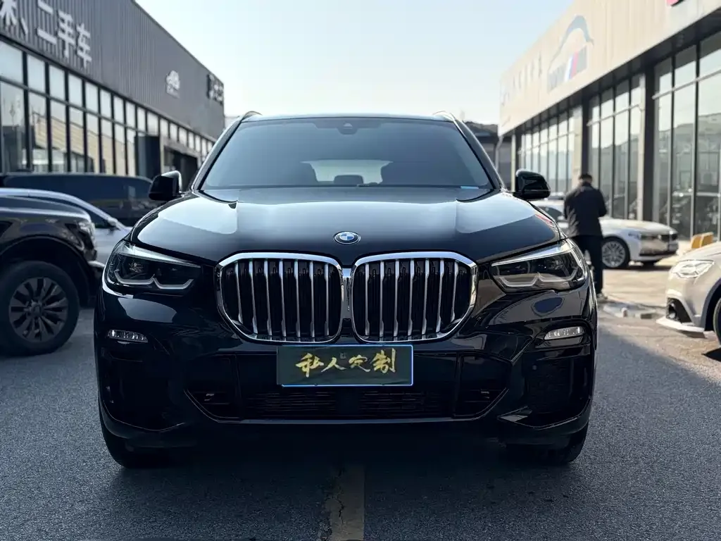 BMW X5 (Import) 2021 из CN, фото 4