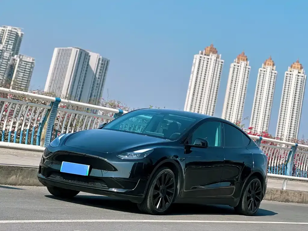 Tesla Model Y — фото 1