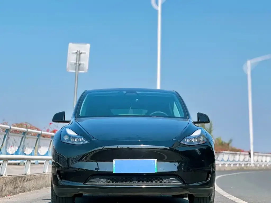 Tesla Model Y — фото 3