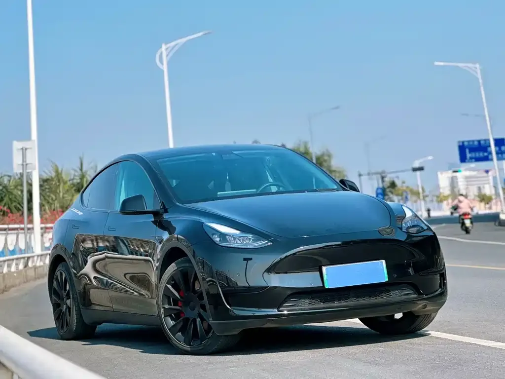 Tesla Model Y — фото 6