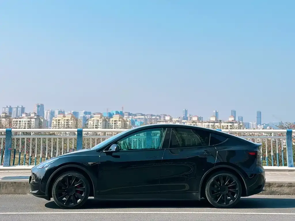 Tesla Model Y — фото 10