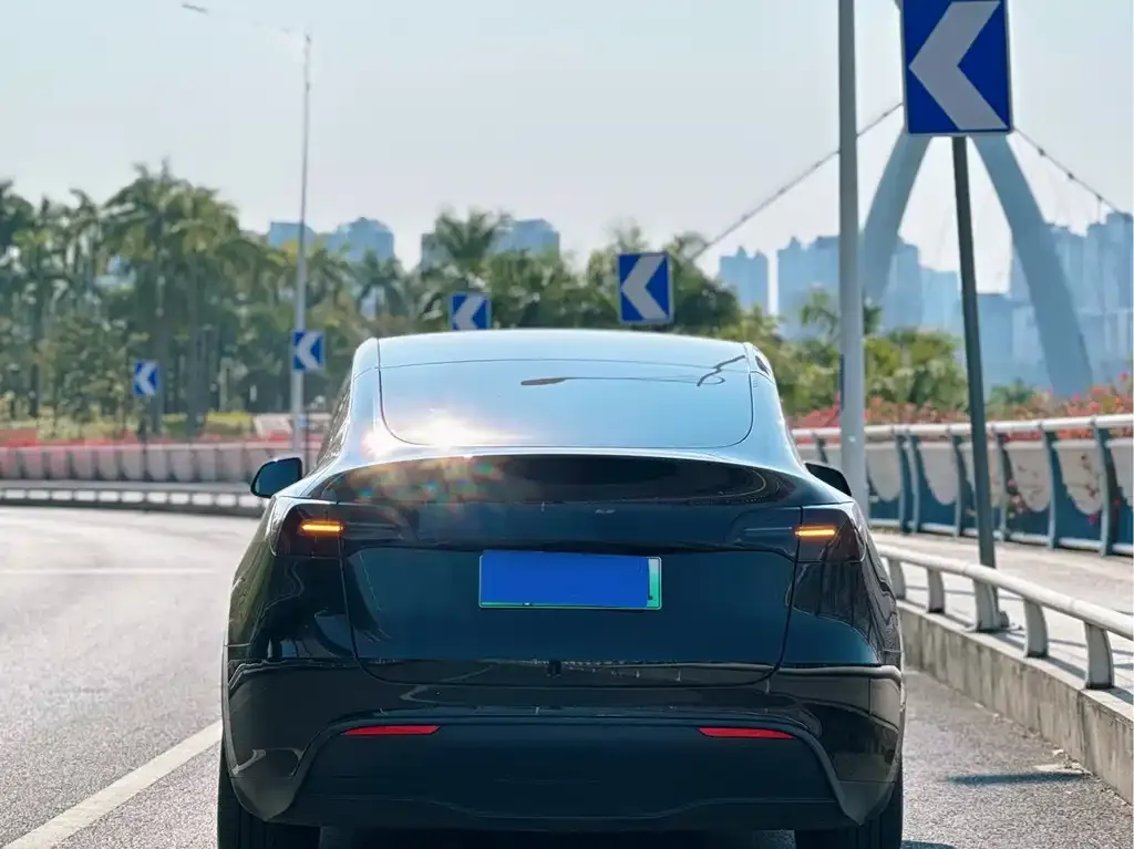 Tesla Model Y — фото 5