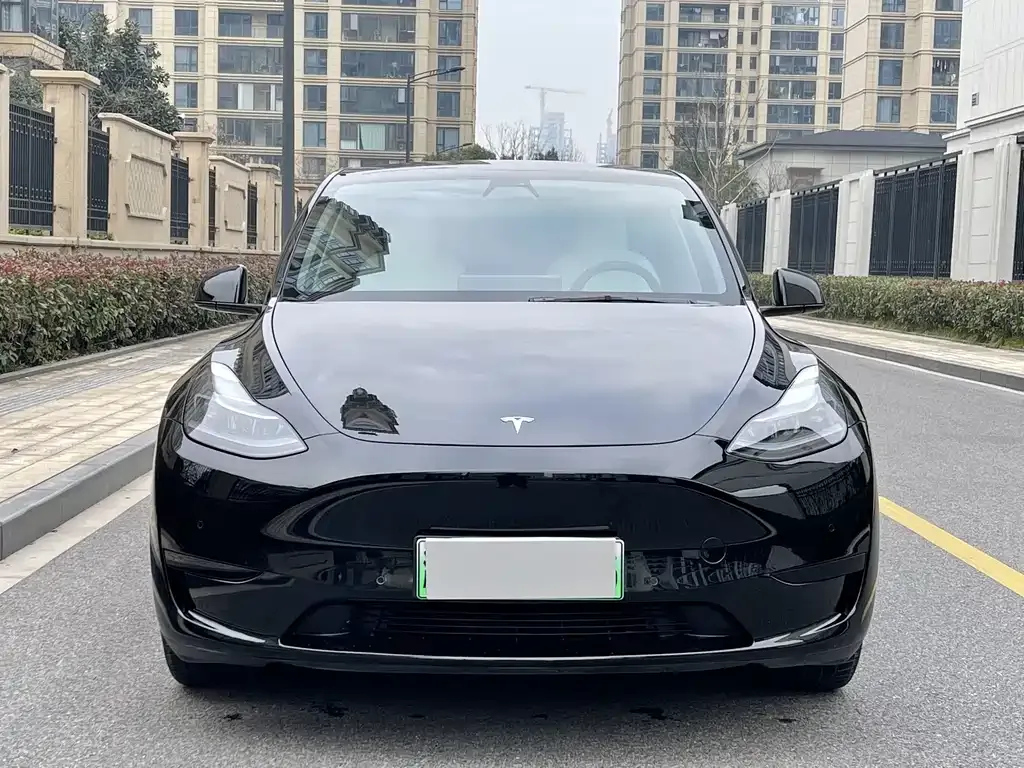 Tesla Model Y 2023 из CN, фото 9
