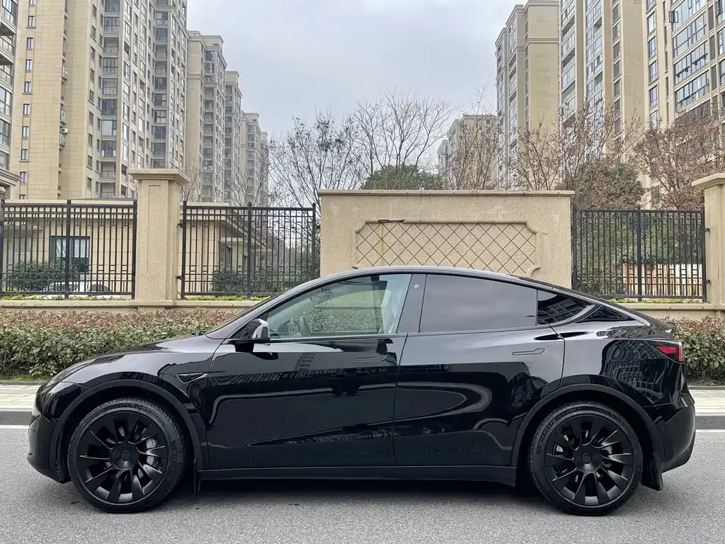 Tesla Model Y 2023 из CN, фото 10