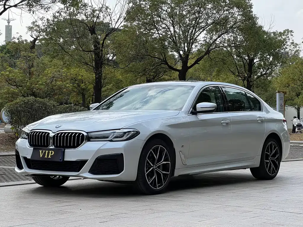 BMW 5 Series 2023 из CN, фото 1