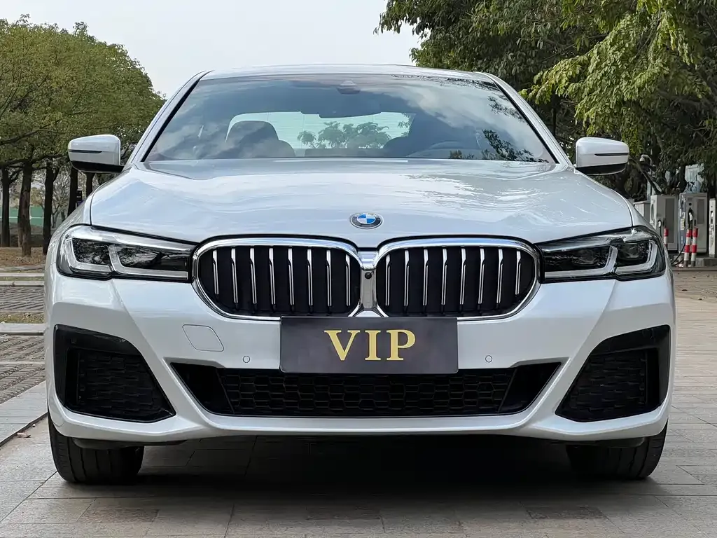 BMW 5 Series 2023 из CN, фото 7