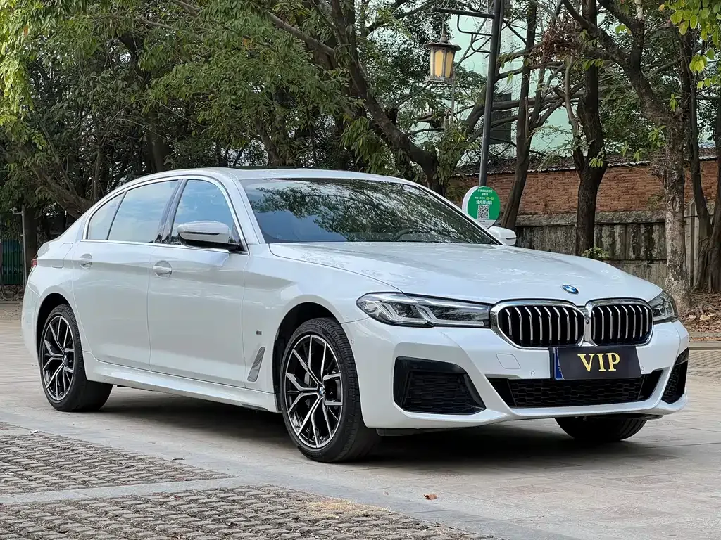 BMW 5 Series 2023 из CN, фото 10