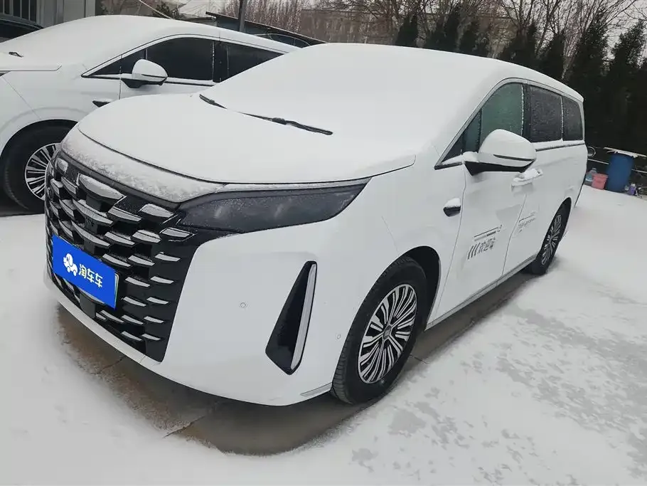 BYD Xia 2025 из CN, фото 1