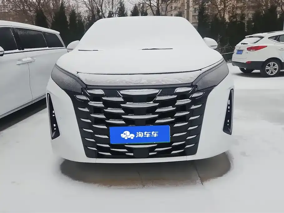 BYD Xia 2025 из CN, фото 6