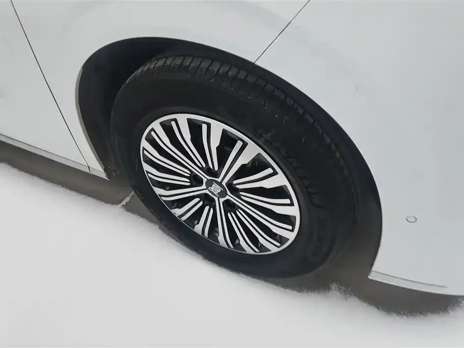 BYD Xia 2025 из CN, фото 2