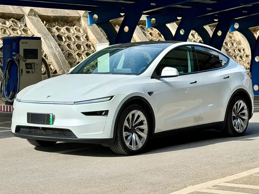 Tesla Model Y 2025 из CN, фото 1