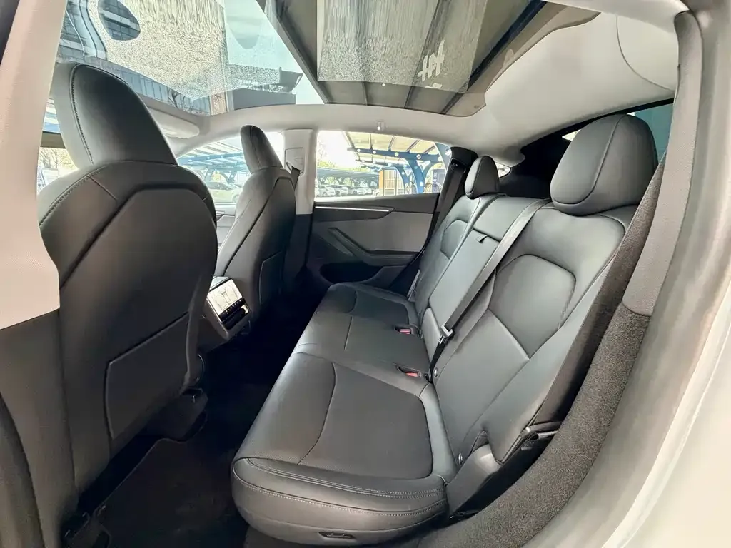 Tesla Model Y 2025 из CN, фото 3