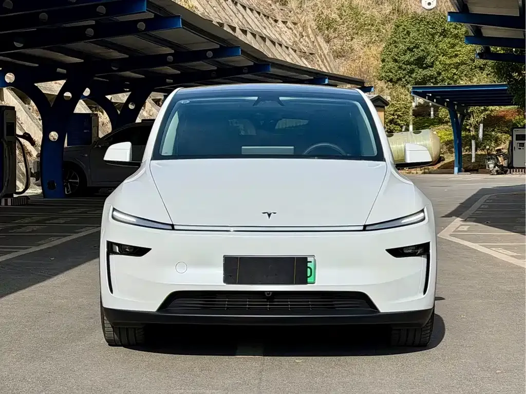 Tesla Model Y 2025 из CN, фото 8