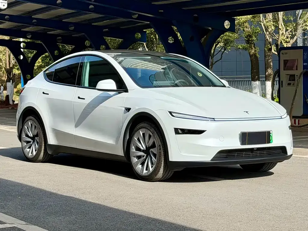 Tesla Model Y 2025 из CN, фото 9