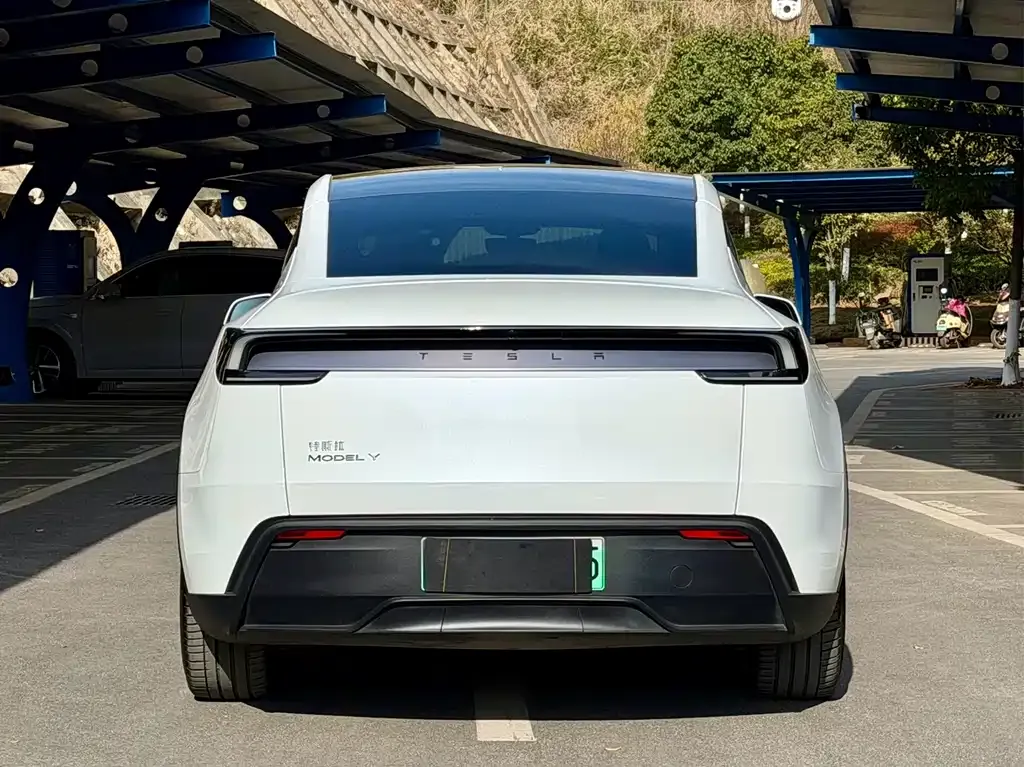 Tesla Model Y 2025 из CN, фото 6