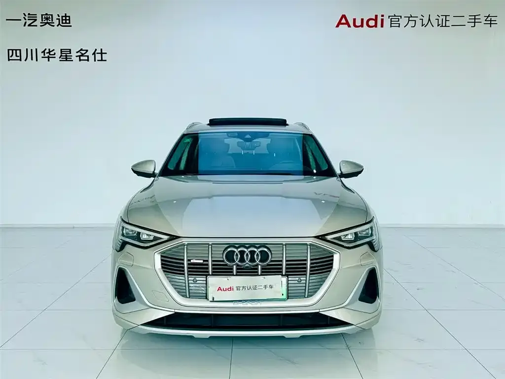 Audi e-tron 2022 из CN, фото 5
