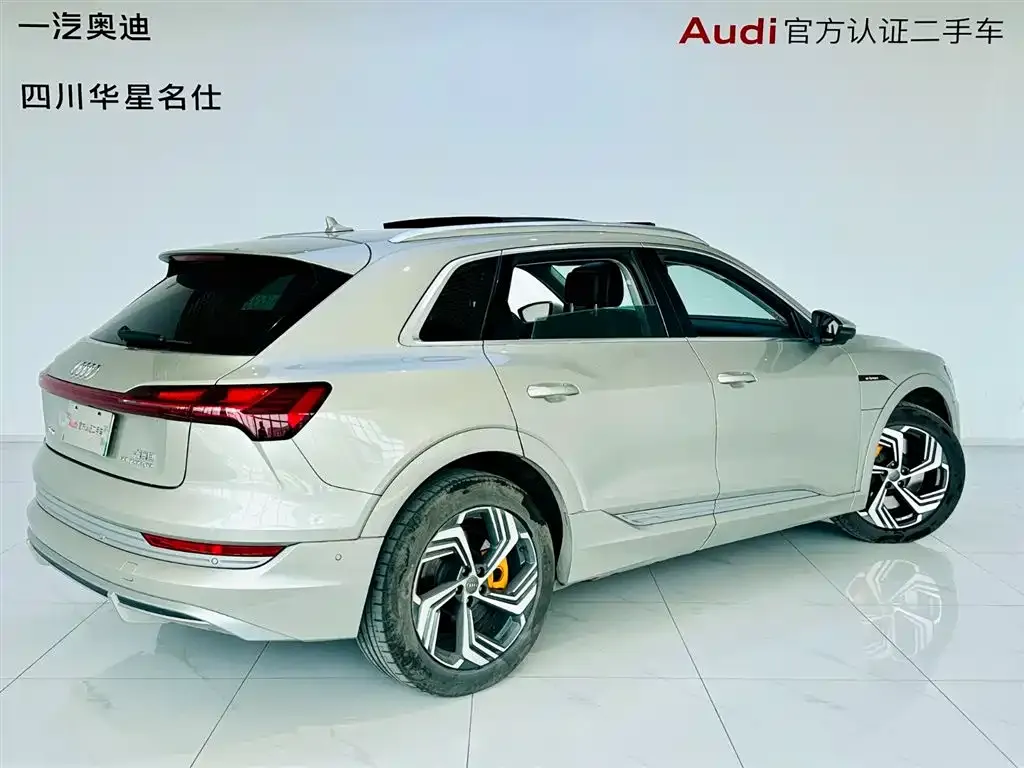 Audi e-tron 2022 из CN, фото 4