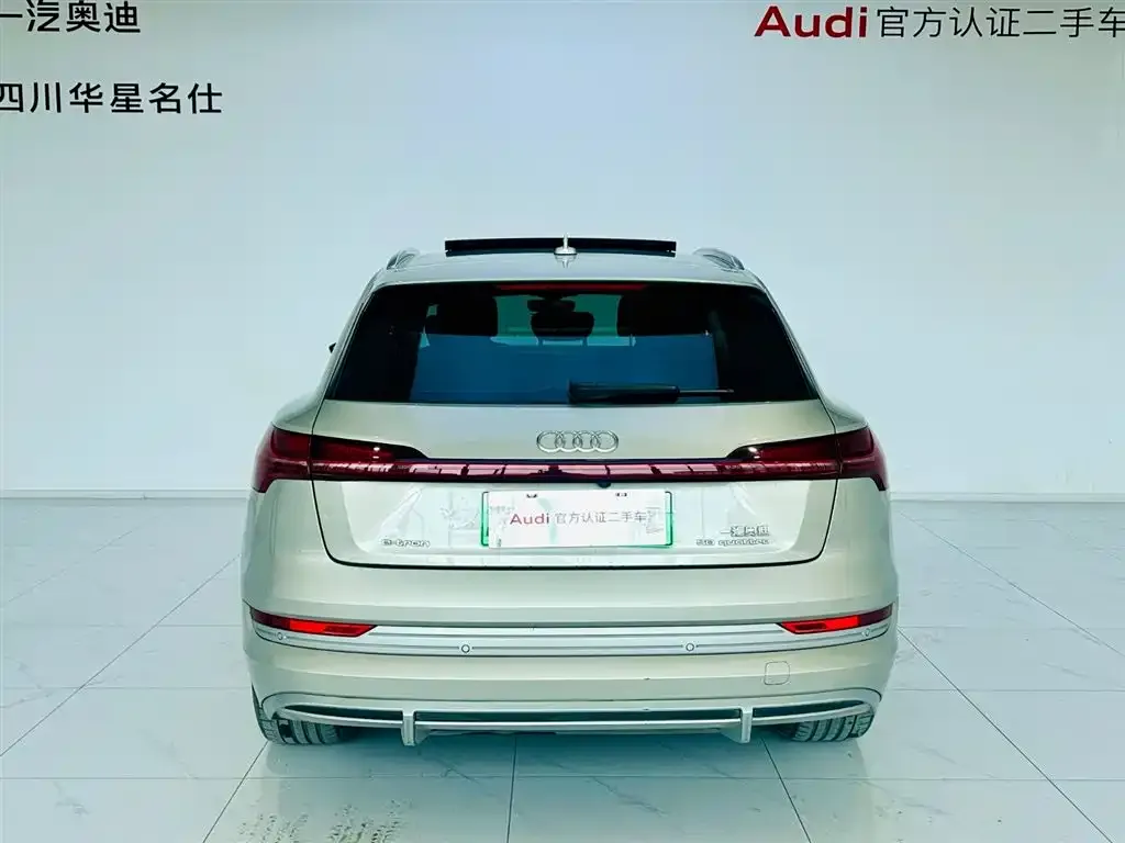 Audi e-tron 2022 из CN, фото 9