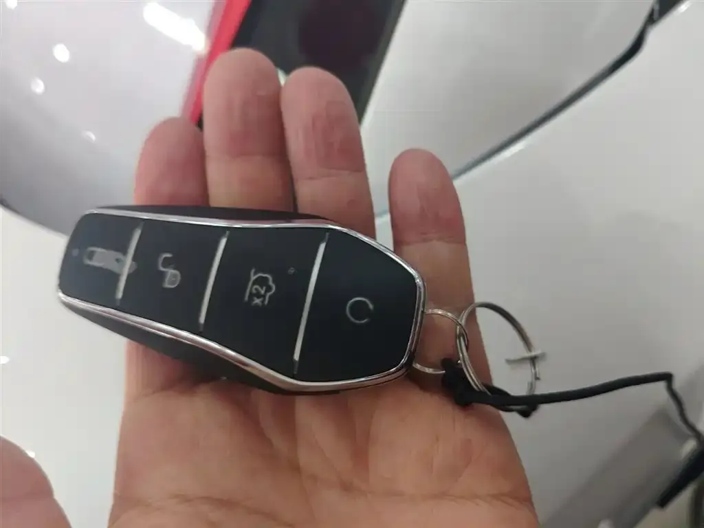 BYD L DM-i 2025 из CN, фото 2