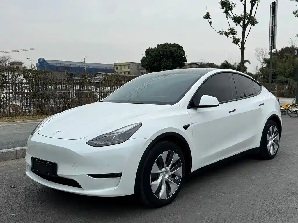 Tesla Model Y — фото 1