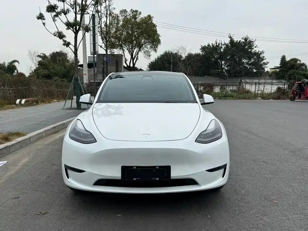 Tesla Model Y — фото 6