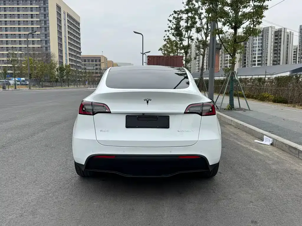 Tesla Model Y — фото 5