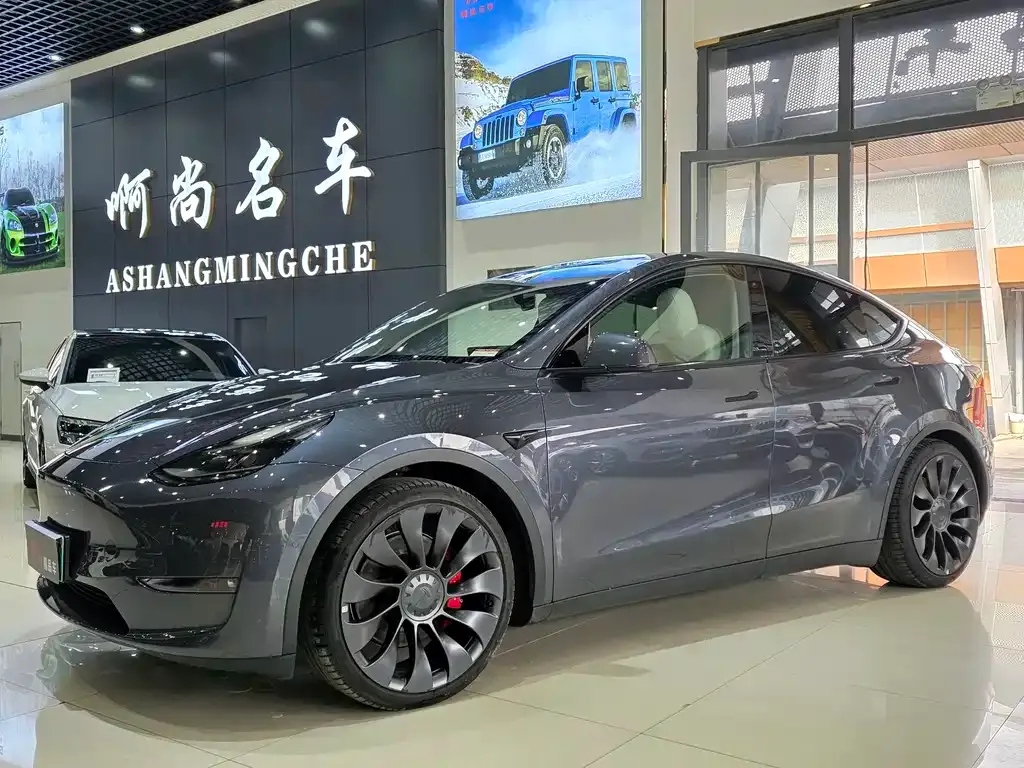 Tesla Model Y 2022 из CN, фото 1
