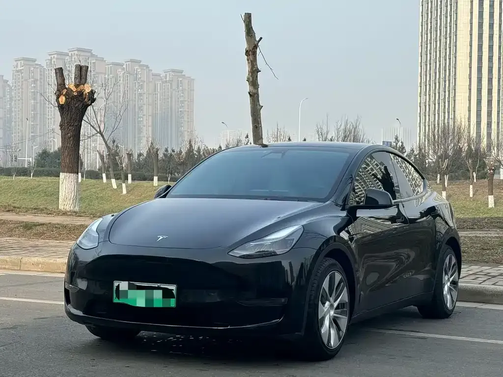 Tesla Model Y 2022 из CN, фото 1