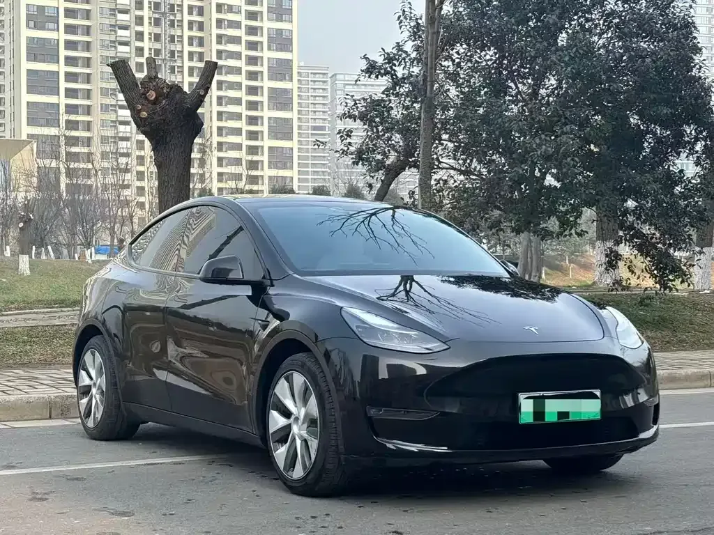 Tesla Model Y 2022 из CN, фото 5