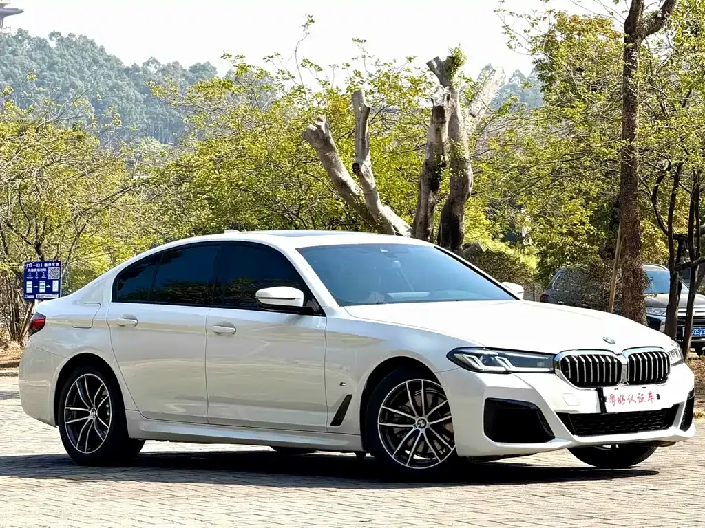 BMW 5 Series (Import) — фото 1