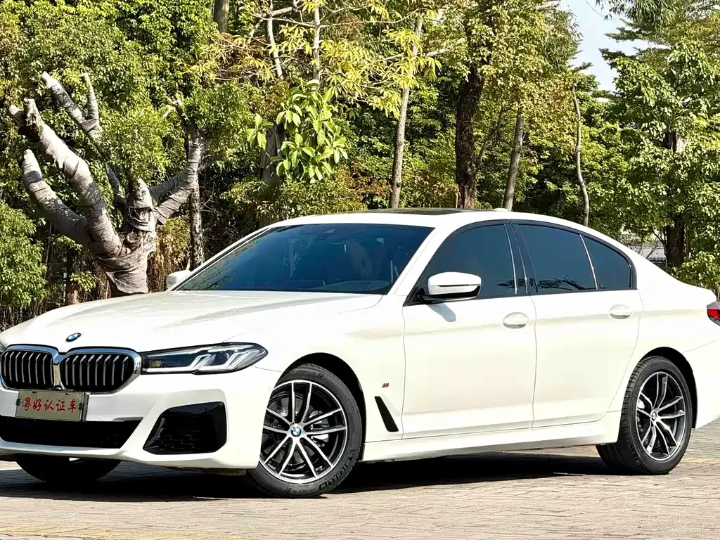 BMW 5 Series (Import) — фото 10