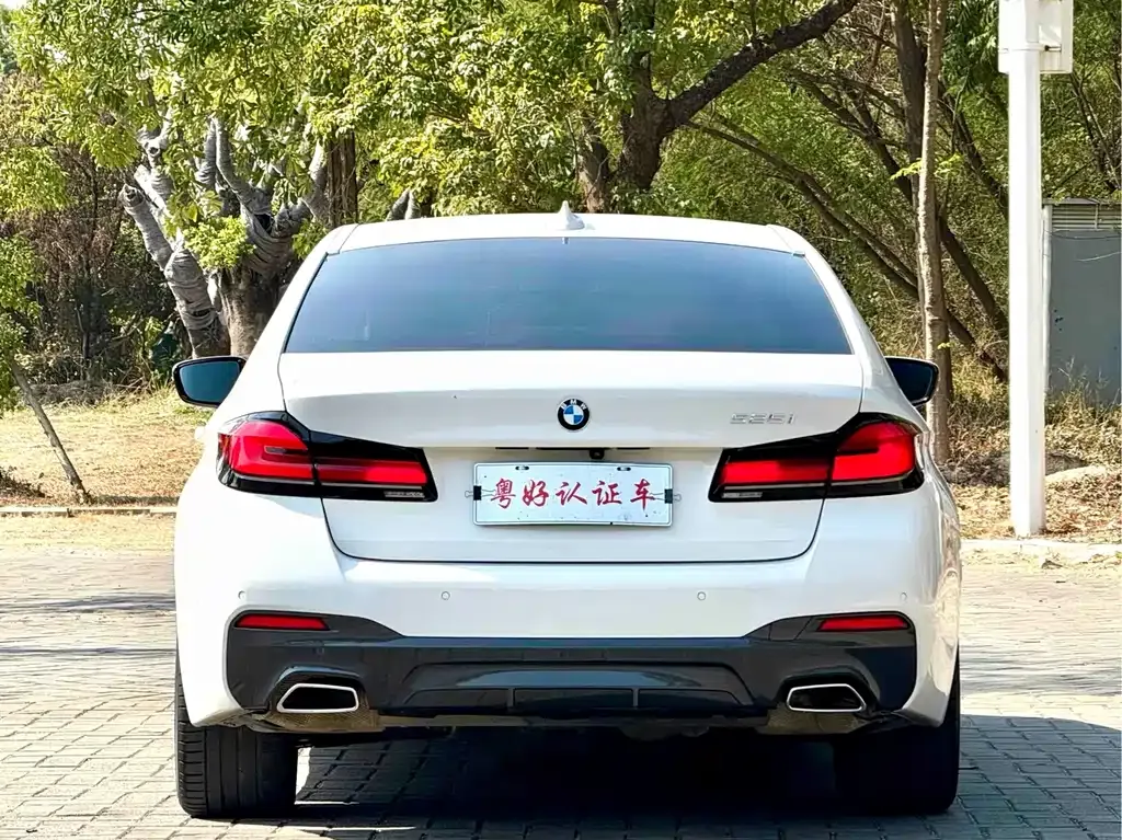 BMW 5 Series (Import) — фото 6