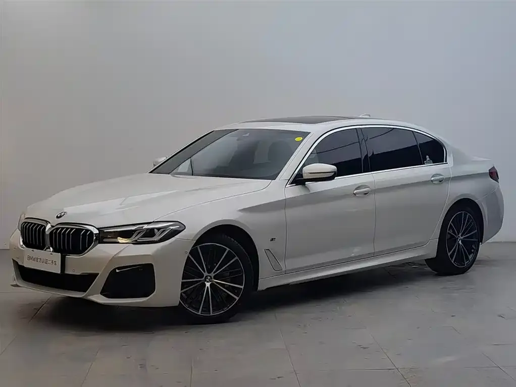 BMW 5 Series 2021 из CN, фото 1
