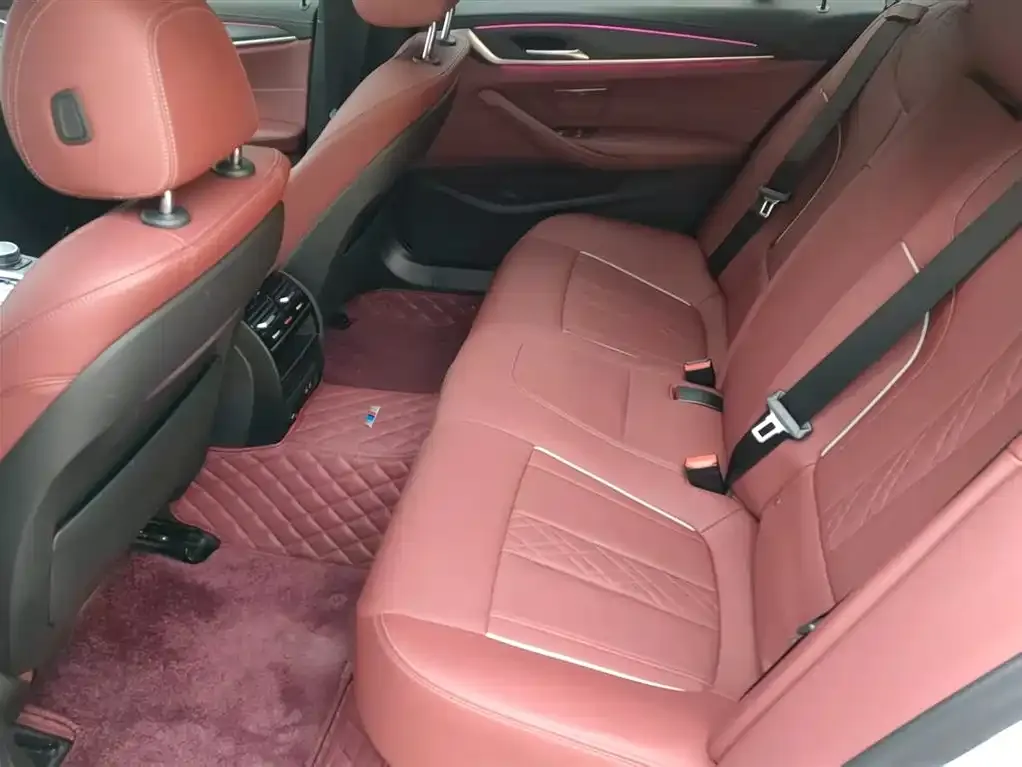 BMW 5 Series 2021 из CN, фото 6