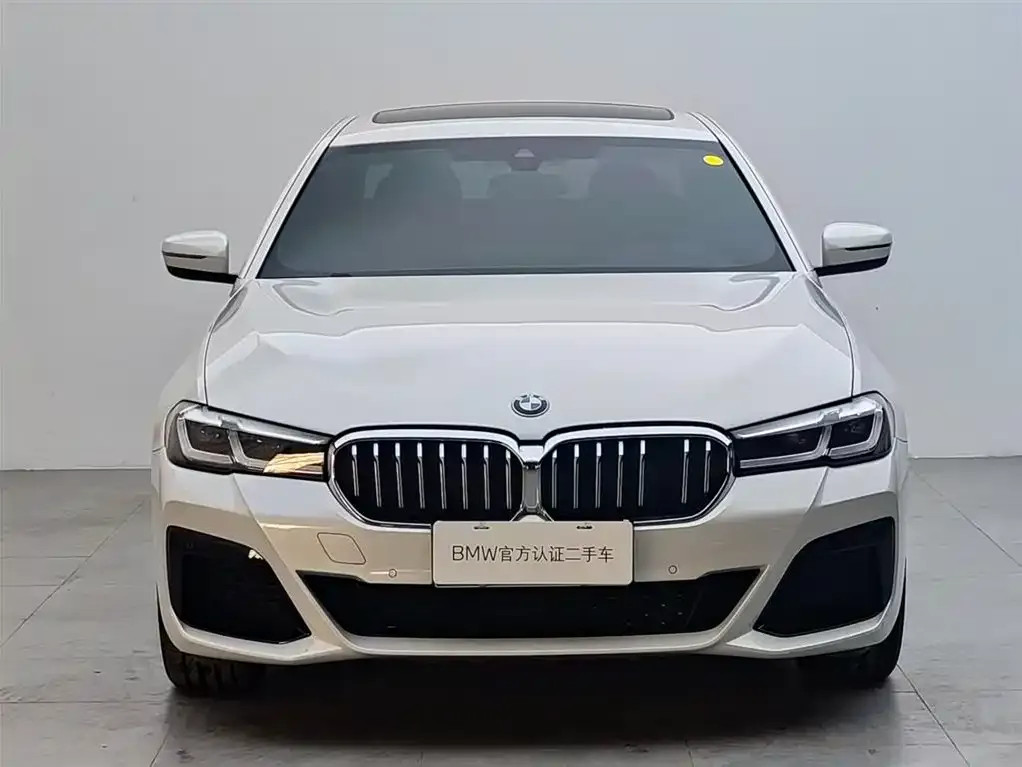 BMW 5 Series 2021 из CN, фото 7