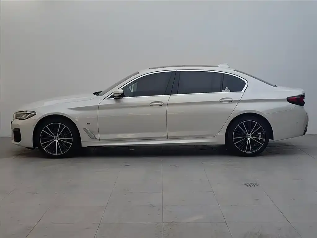BMW 5 Series 2021 из CN, фото 9