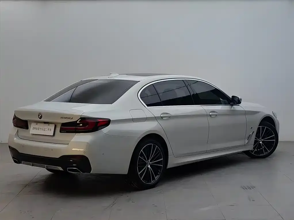 BMW 5 Series 2021 из CN, фото 2