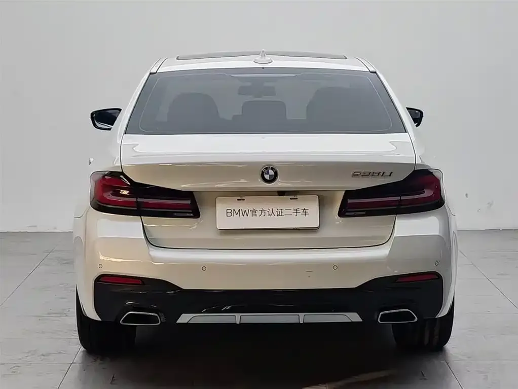 BMW 5 Series 2021 из CN, фото 5