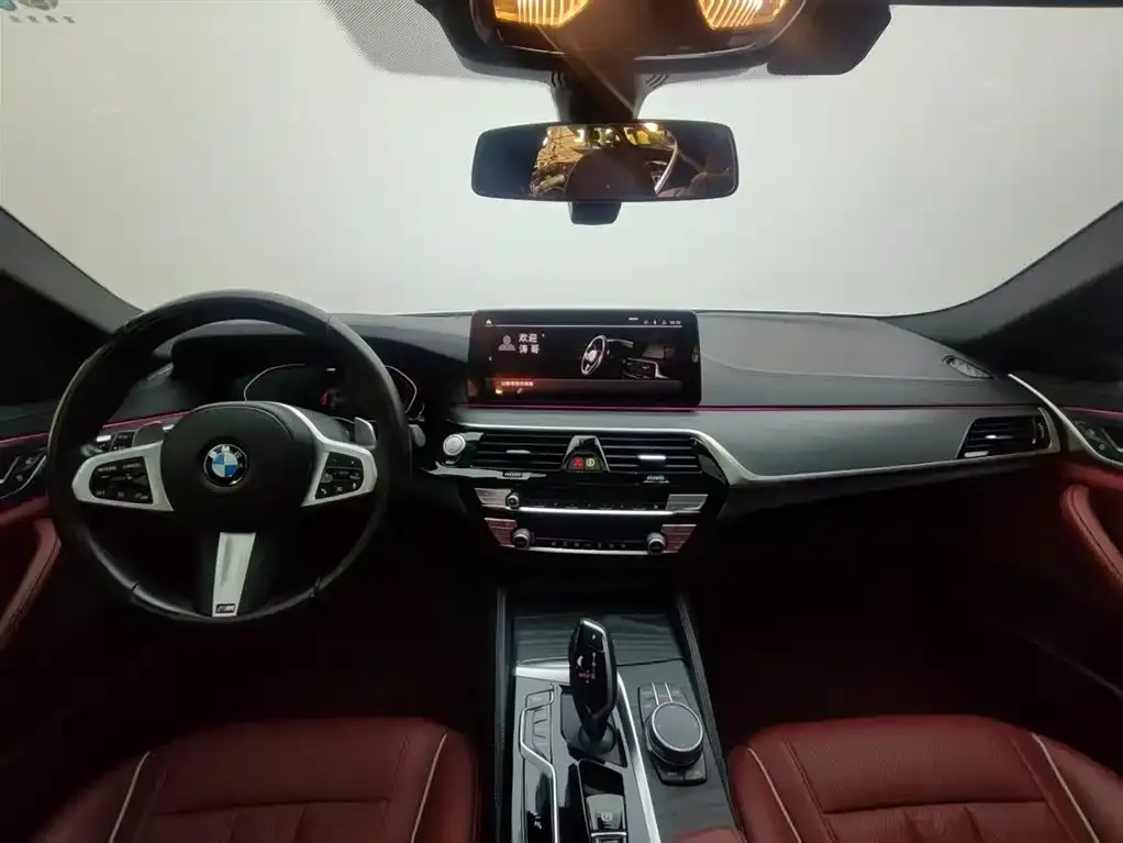 BMW 5 Series 2021 из CN, фото 8